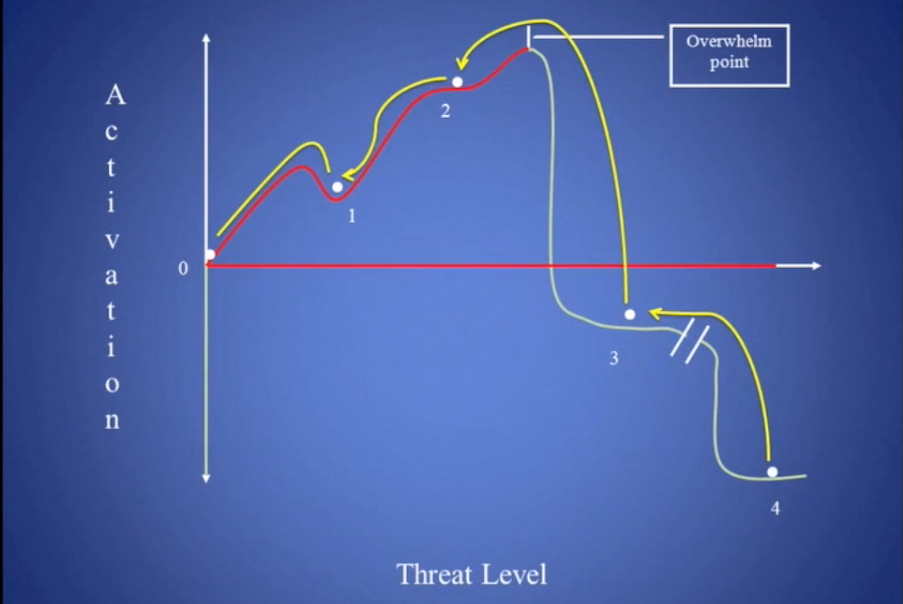 Razvi Trauma Dynamics Map